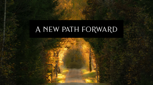 A road through an archway of trees with the text "A new path forward" in white